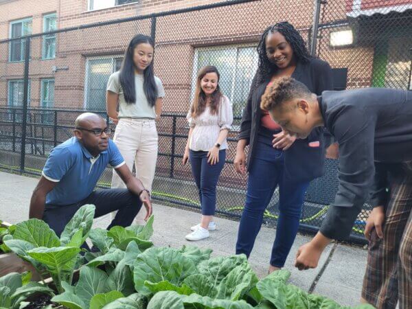 Members of ARC and summer research fellow students visit a community garden.