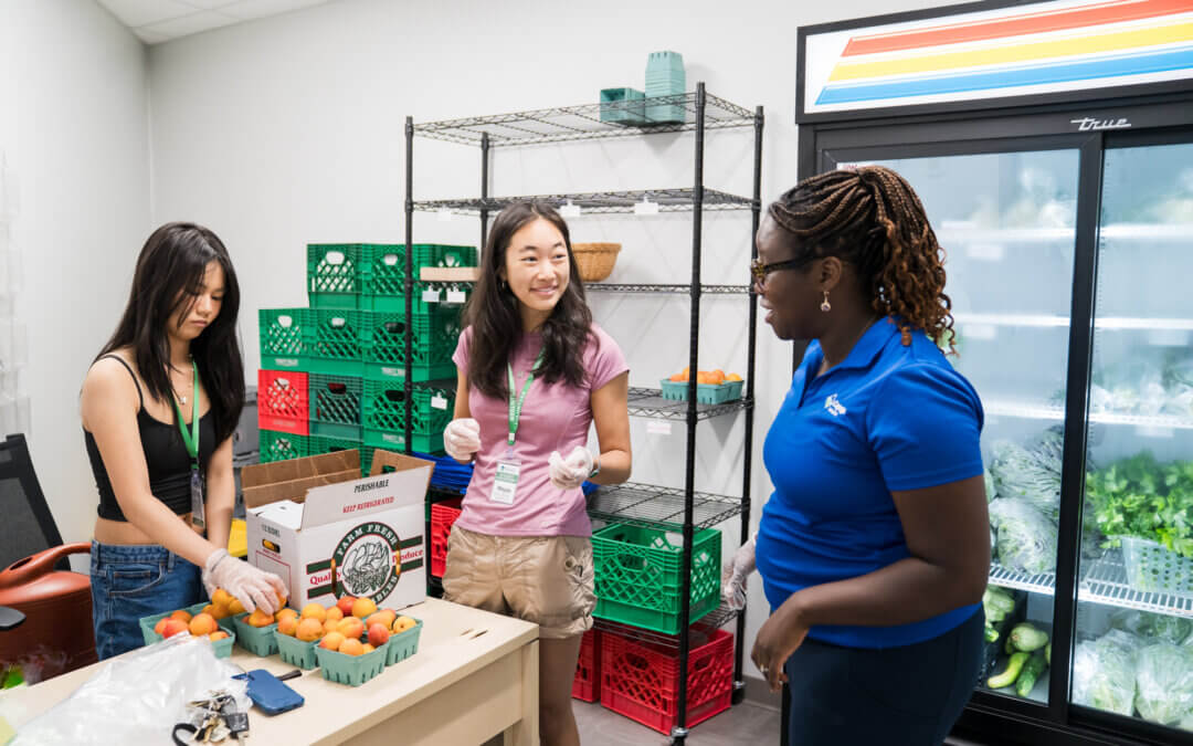 New translational research minor prepares students to put science to work