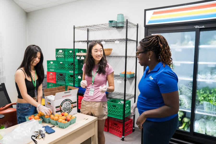 New translational research minor prepares students to put science to work