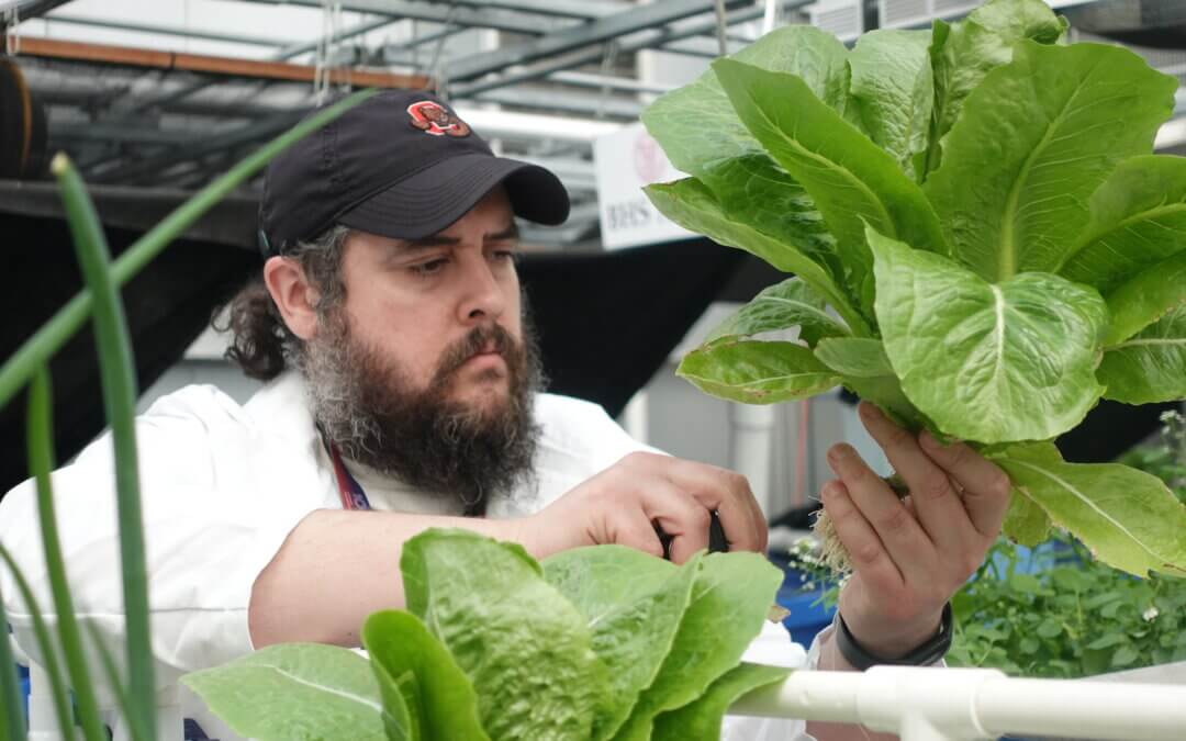 Learning labs cultivate knowledge – and produce – for students