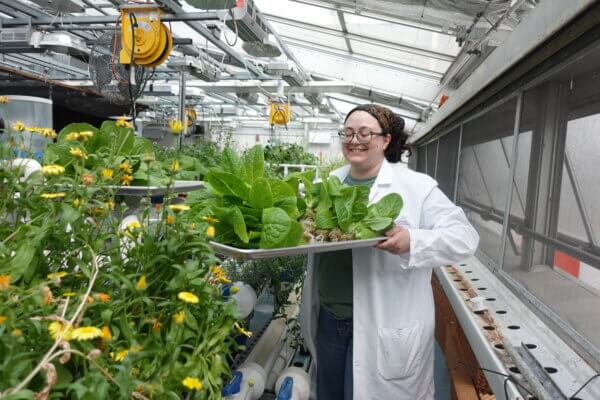 A woman holds a tray of plants in a greenhouse.